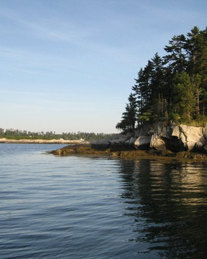 Justin Douglass - Real Estate Broker